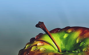 green and red fruit
